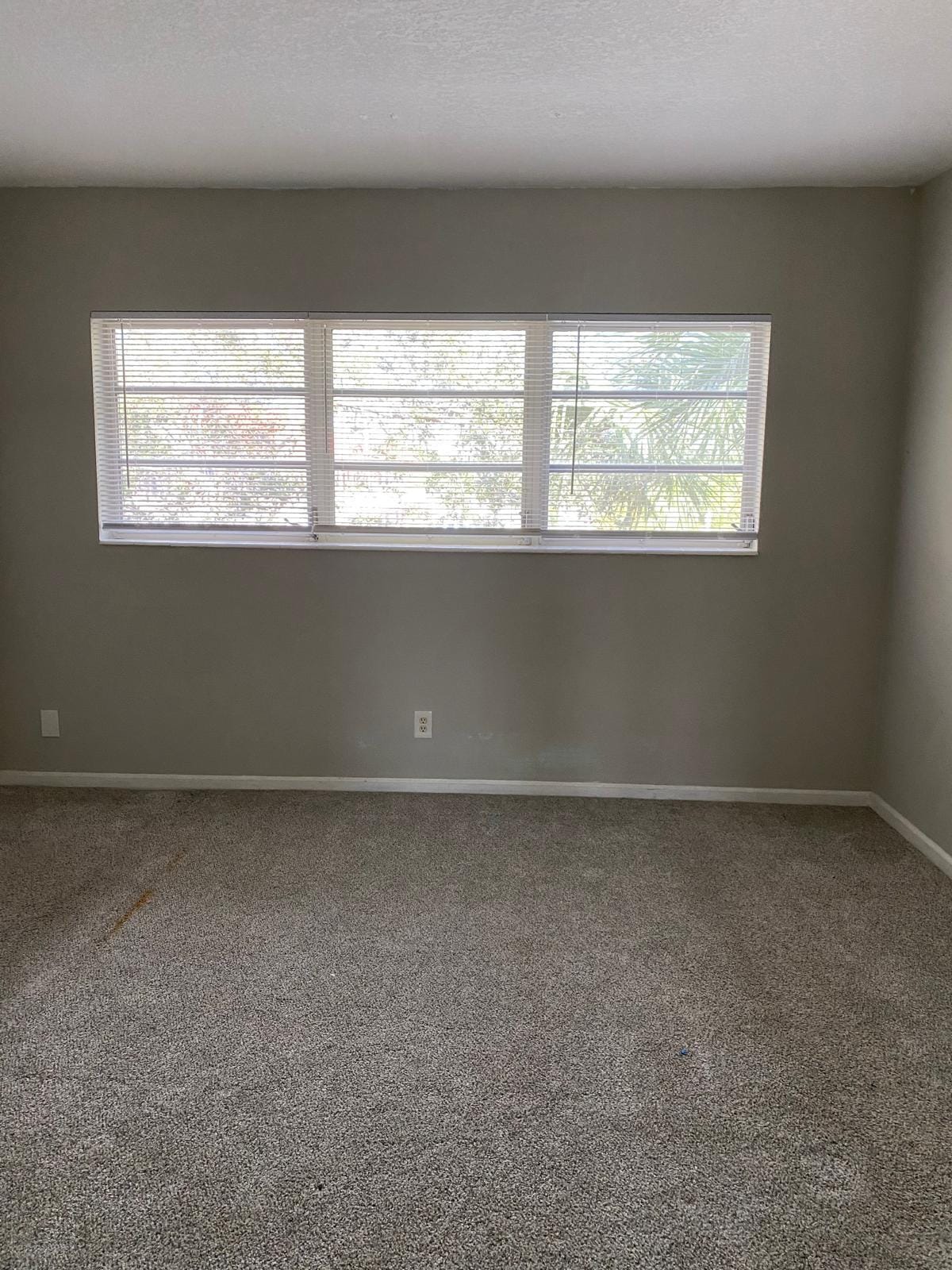 2303 S Federal Highway 19 — photo 9