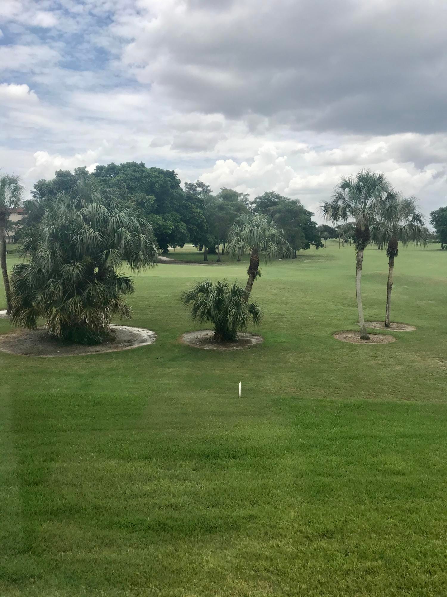 1010 Country Club Drive 206 — photo 12