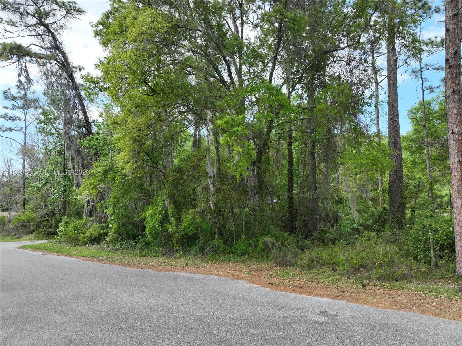0 Eagle Lake Avenue, New Port Richey, FL 34654 photo 21