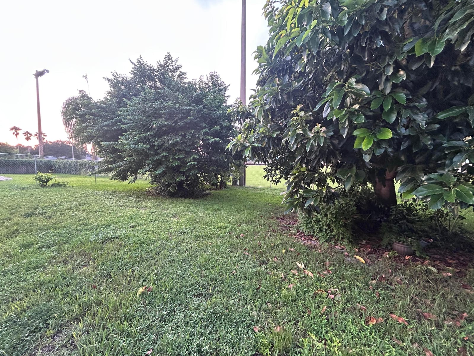 11641 SW 50th Street, Cooper City, FL 33330 photo 4