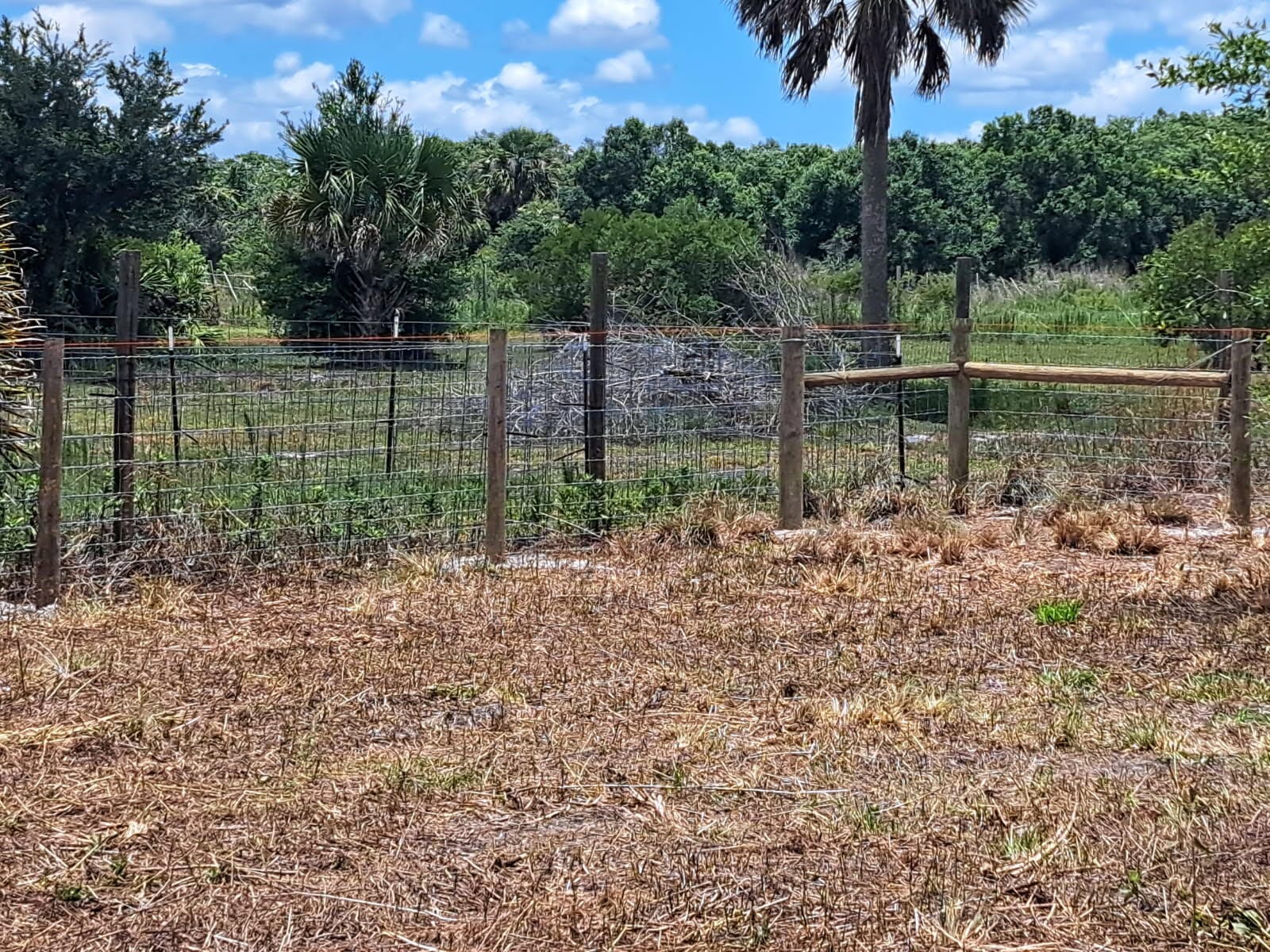 20639 NW 300th Street, Okeechobee, FL 34972 photo 6