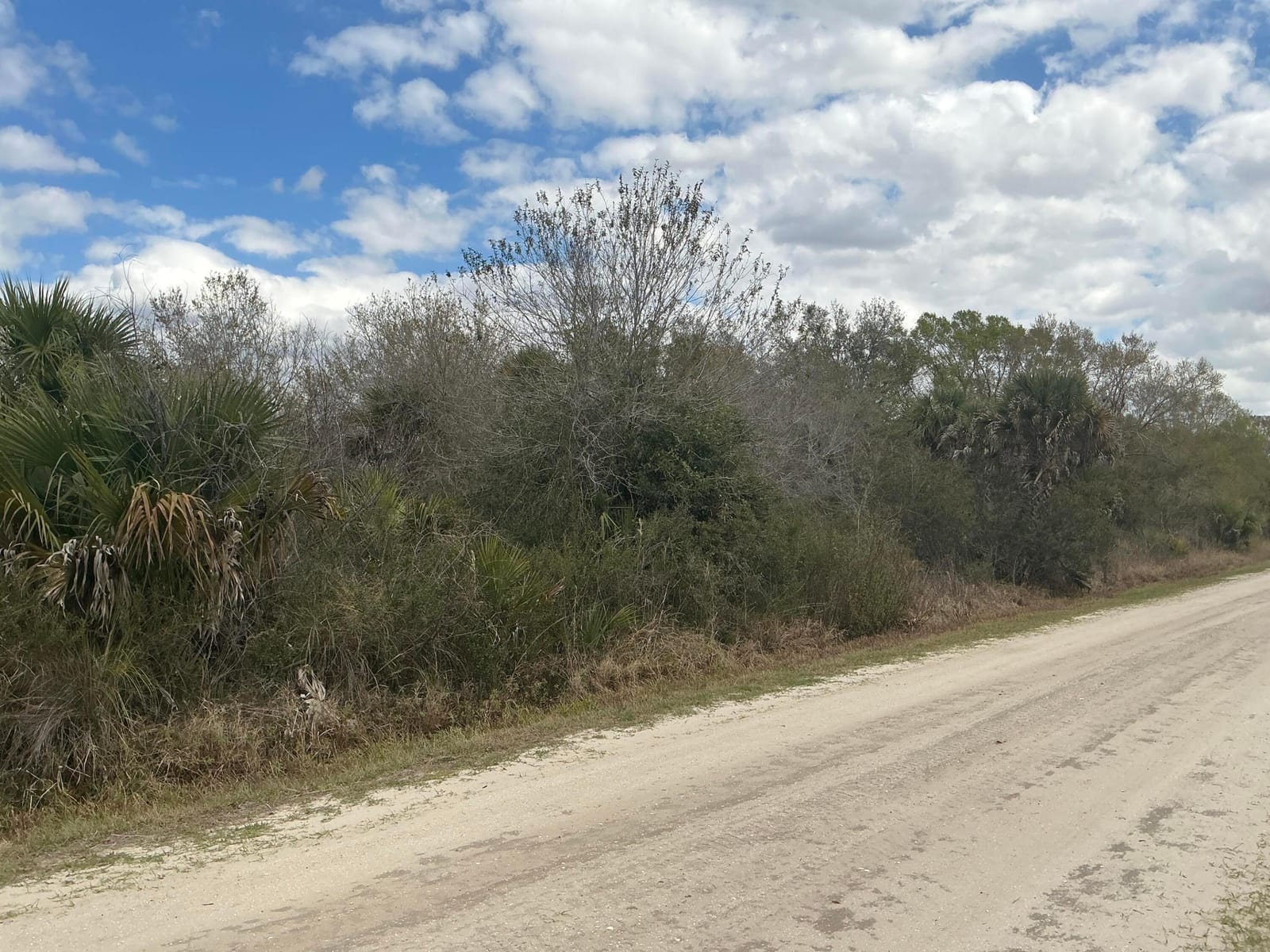 20639 NW 300th Street, Okeechobee, FL 34972 photo 10