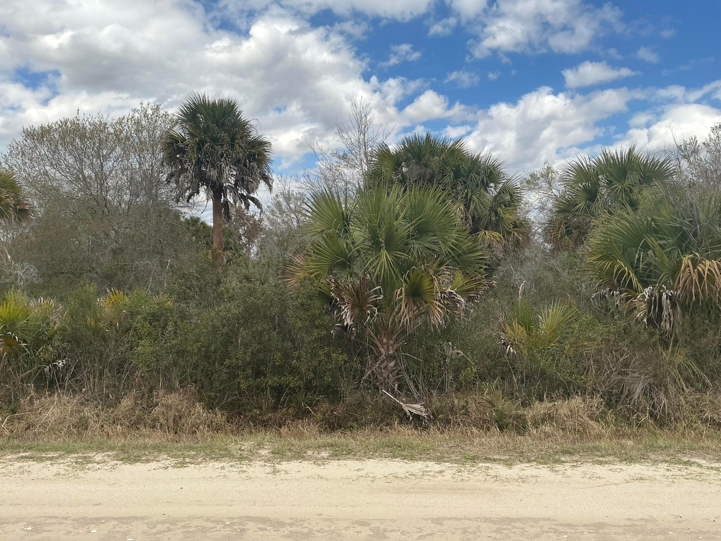 20639 NW 300th Street, Okeechobee, FL 34972, Okeechobee