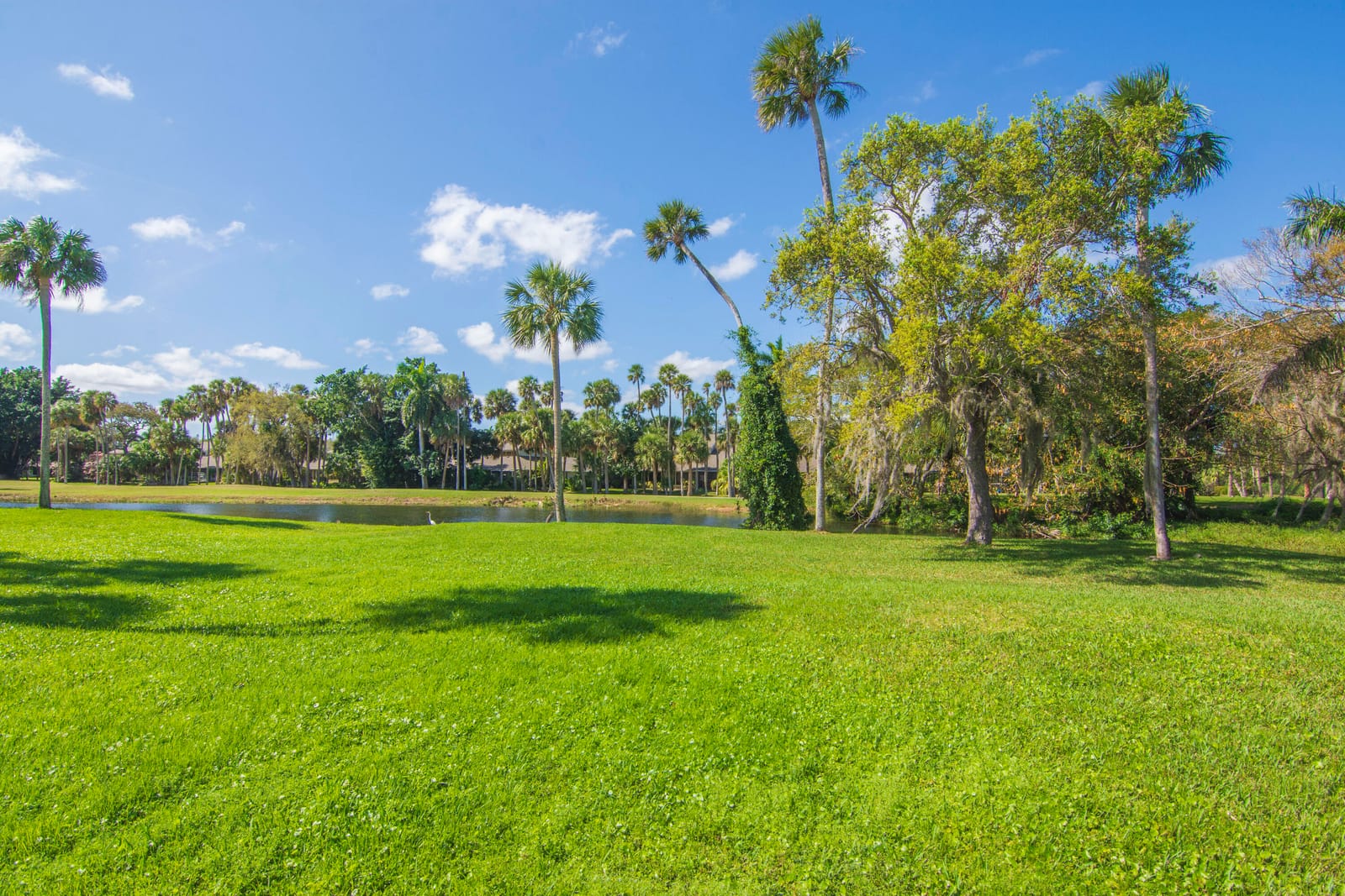66 Woodland Drive 204, Vero Beach, FL 32962 photo 23
