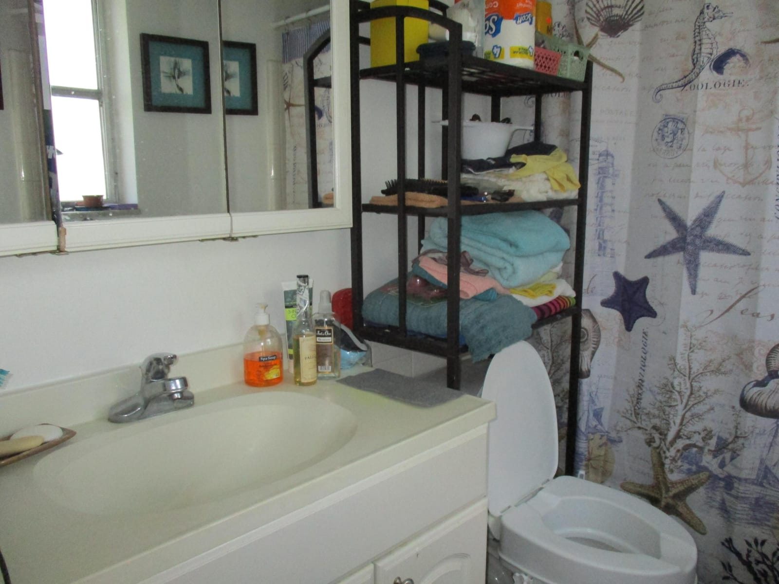 3720 Harrison Street 3 — photo 8