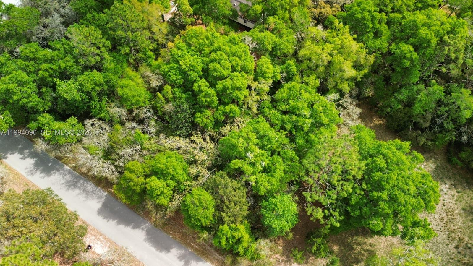 Lot 29 Nw 120th Avenue, Ocala, FL 34482, Ocala