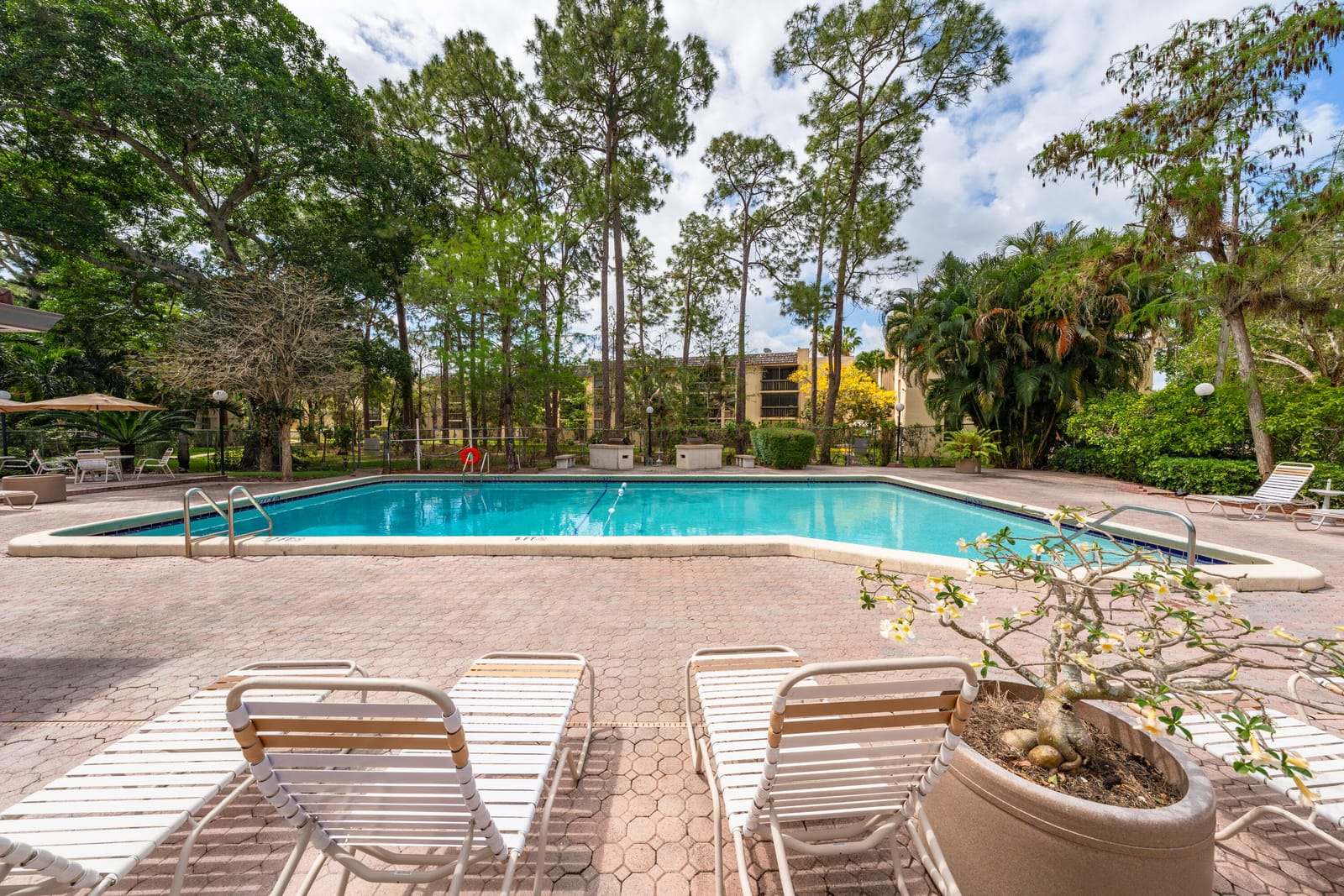8421 Forest Hills Drive 106, Coral Springs, FL 33065 photo 20