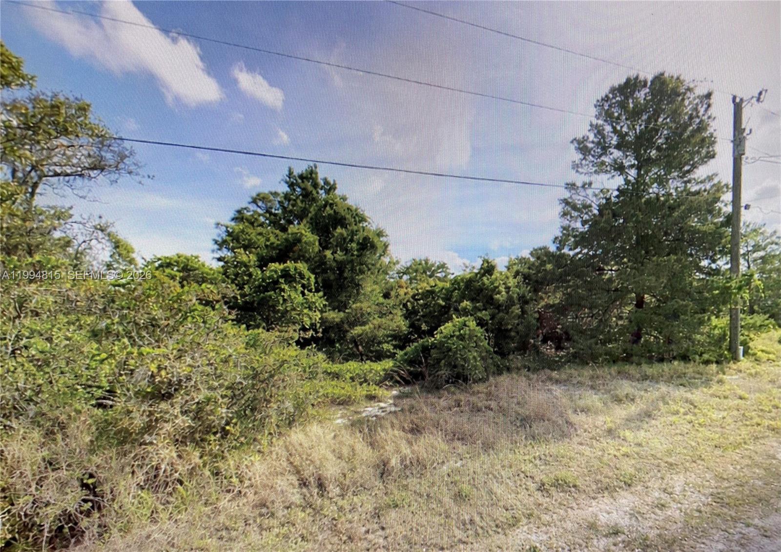 227 Pershing Avenue, Lake Placid, FL 33852, Lake Placid