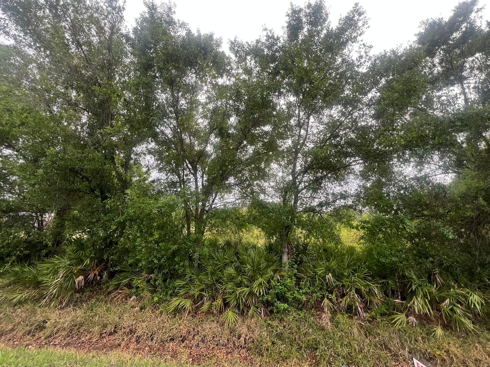 3347 NW 17th Avenue, Okeechobee, FL 34972