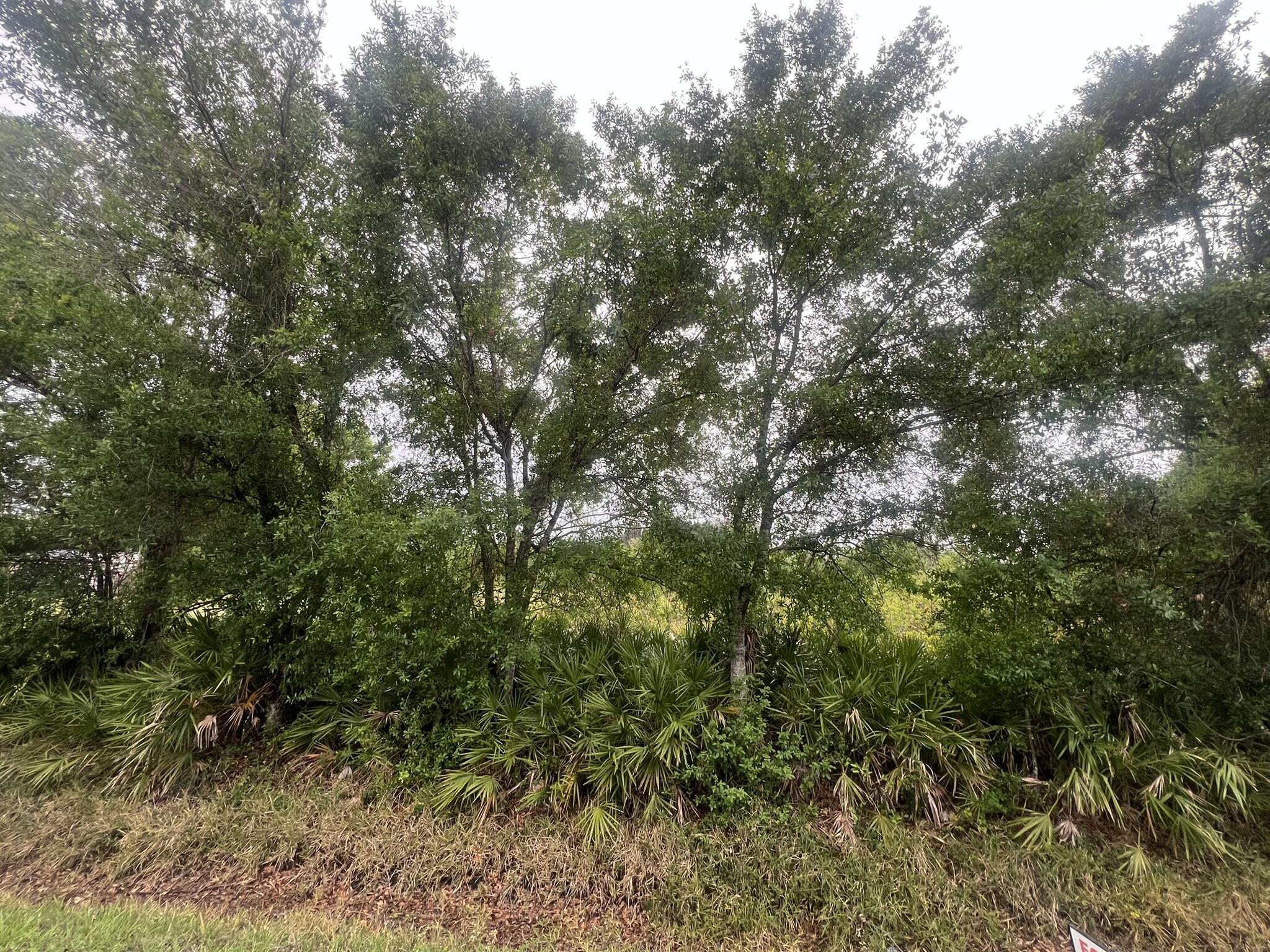 3347 NW 17th Avenue, Okeechobee, FL 34972, Okeechobee