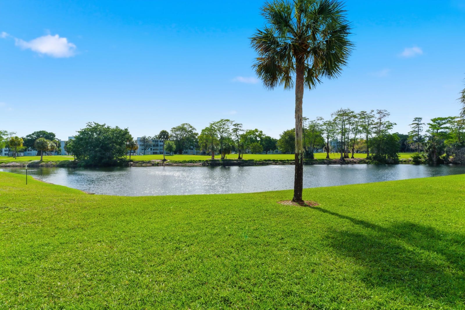 1650 NW 80th Avenue Apt 204, Margate, FL 33063 photo 13
