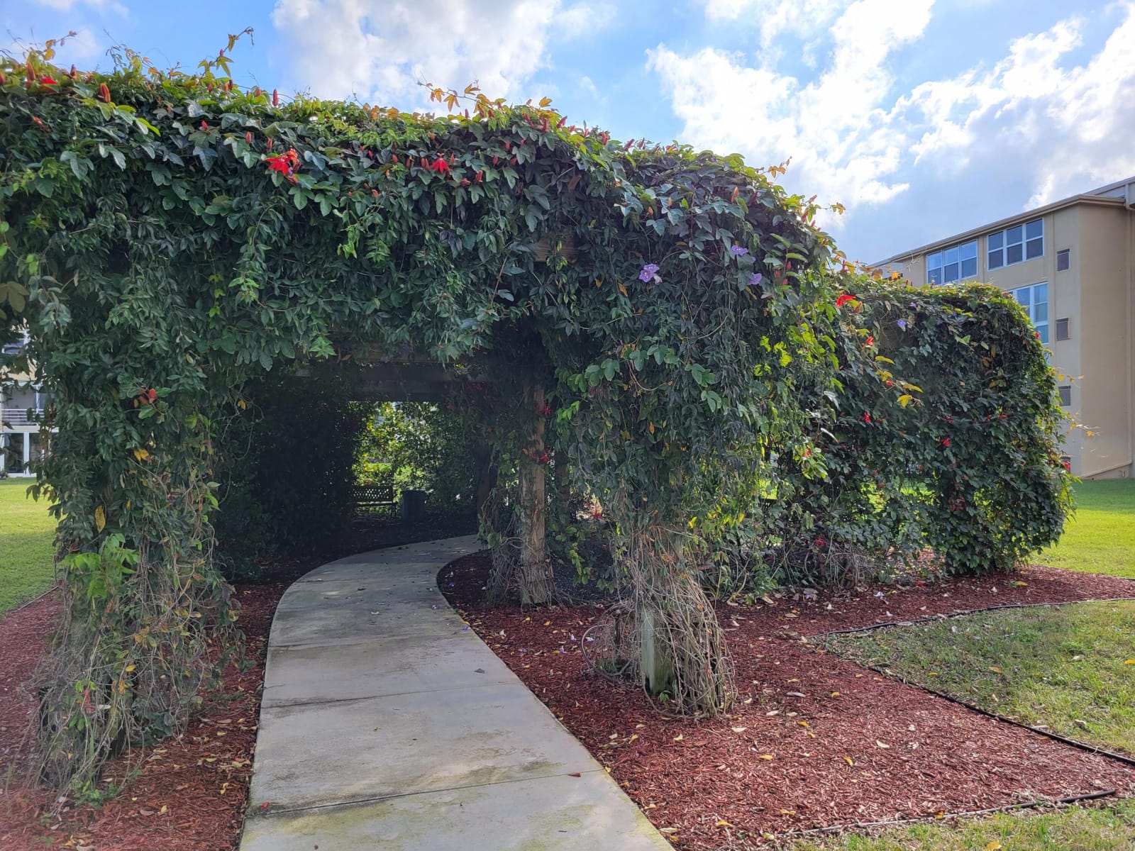 2600 NE 1st Lane 311, Boynton Beach, FL 33435 photo 27