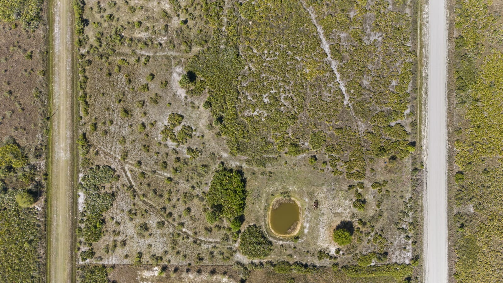 19050 NW 256th Street, Okeechobee, FL 34972 photo 2