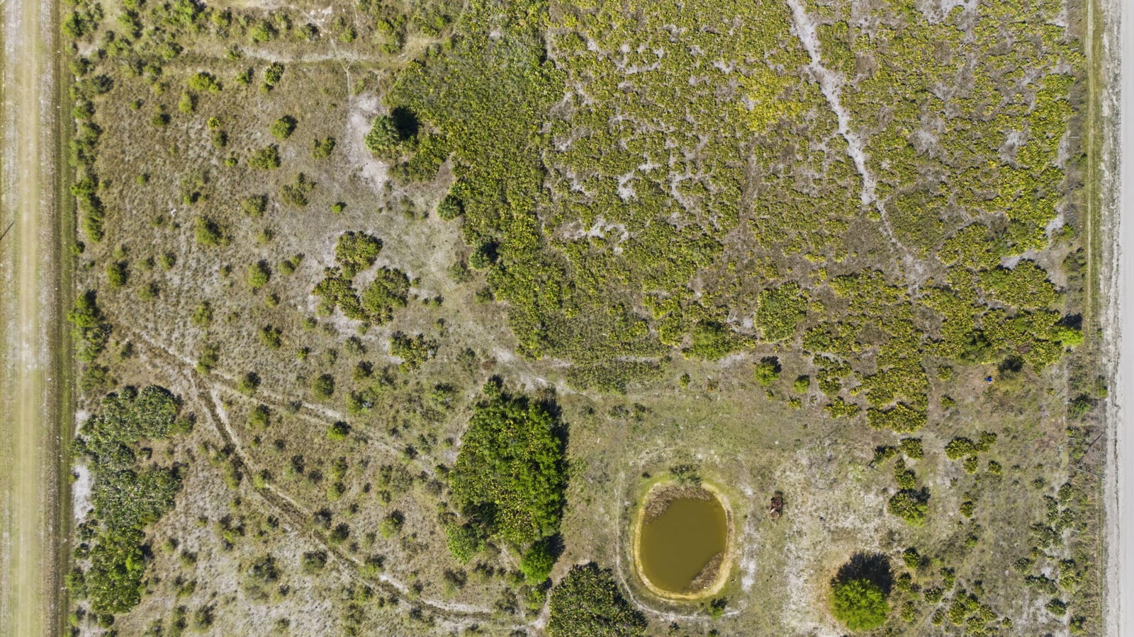 19050 NW 256th Street, Okeechobee, FL 34972 photo 3