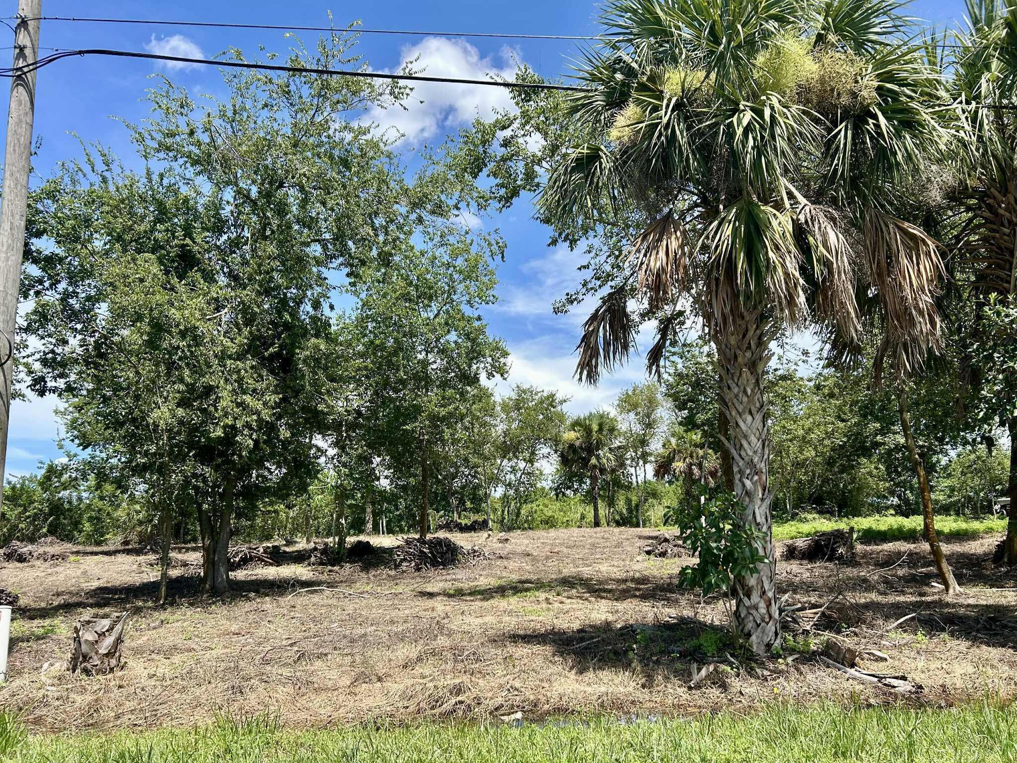 1170 Foxmoor Street, Moore Haven, FL 33471, Moore Haven