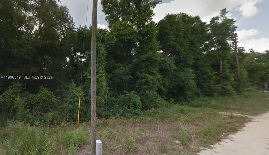 17809 SE 11 Lane, FL 34488, Silver Springs