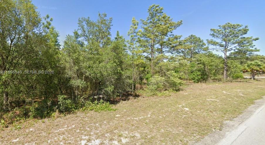 22624 SW Rainbow Lakes Boulevard, FL 34431, Dunnellon