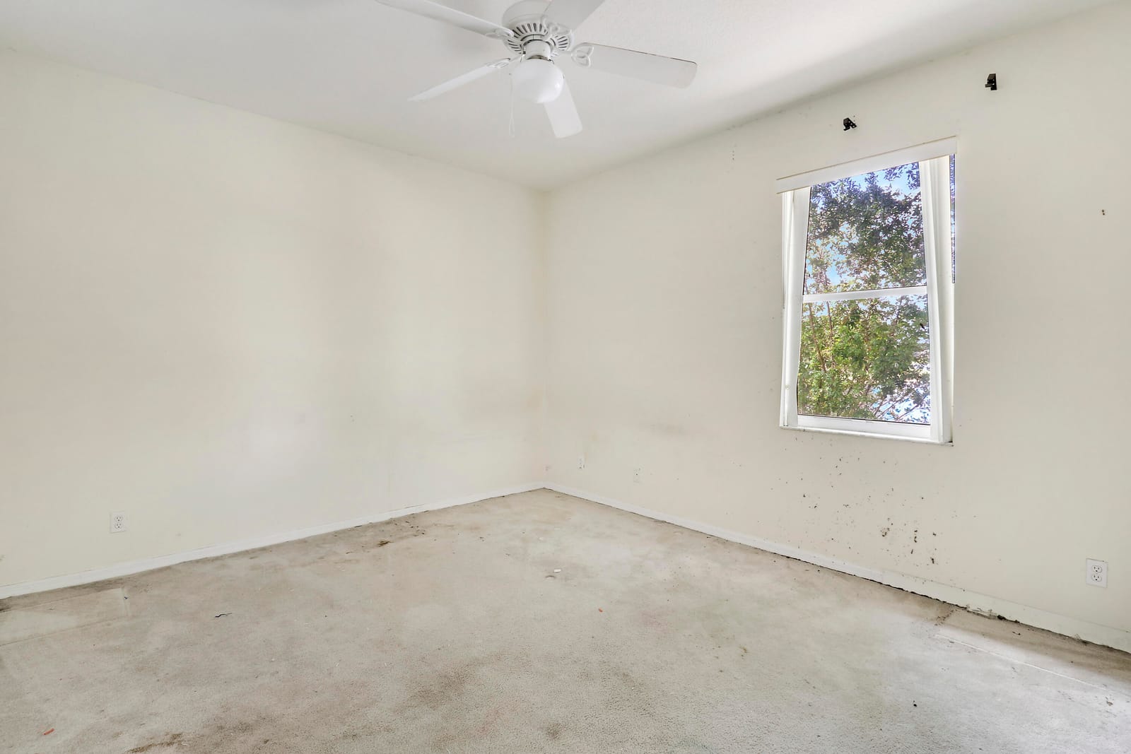 1599 Newhaven Point Lane — photo 5