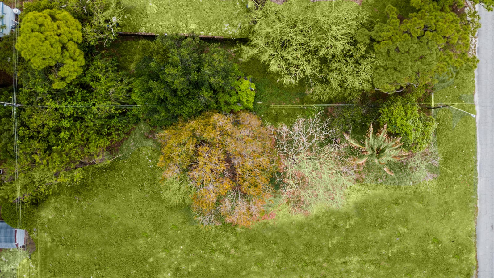 5167 SE Isabelita Avenue SE, Stuart, FL 34997 photo 8