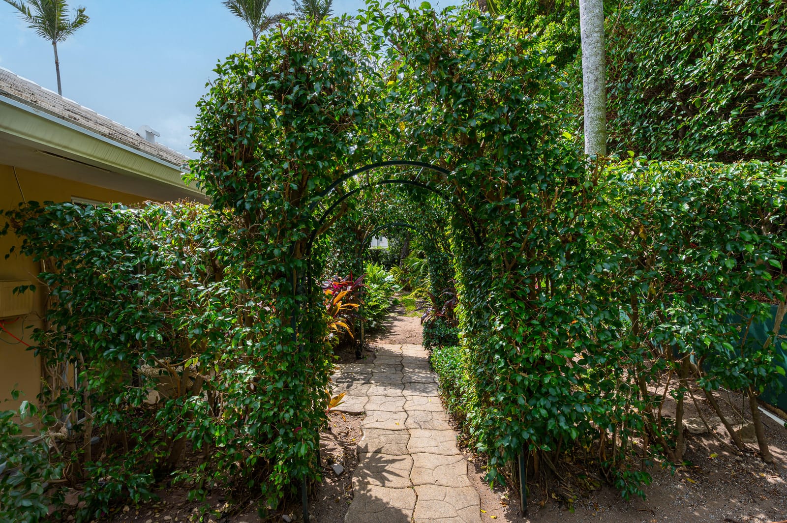 280 Tradewind Drive — photo 9