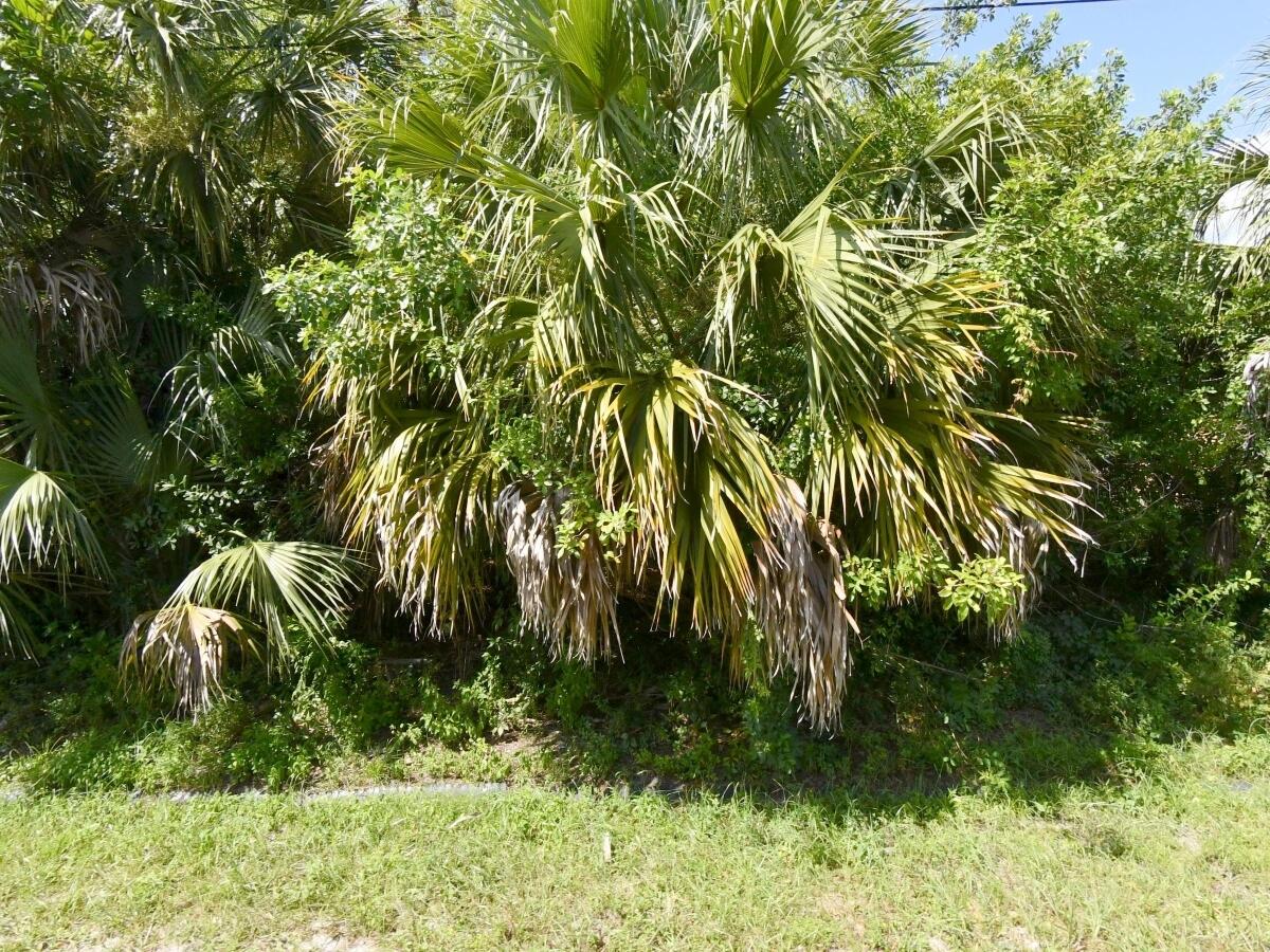 542 SW College Park Road, Port St. Lucie, FL 34953, Port St Lucie