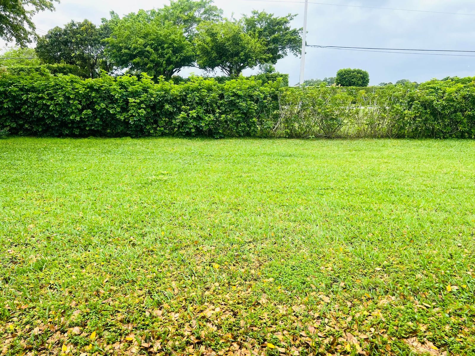 13445 Fishtail Palm Court C, Delray Beach, FL 33484 photo 13