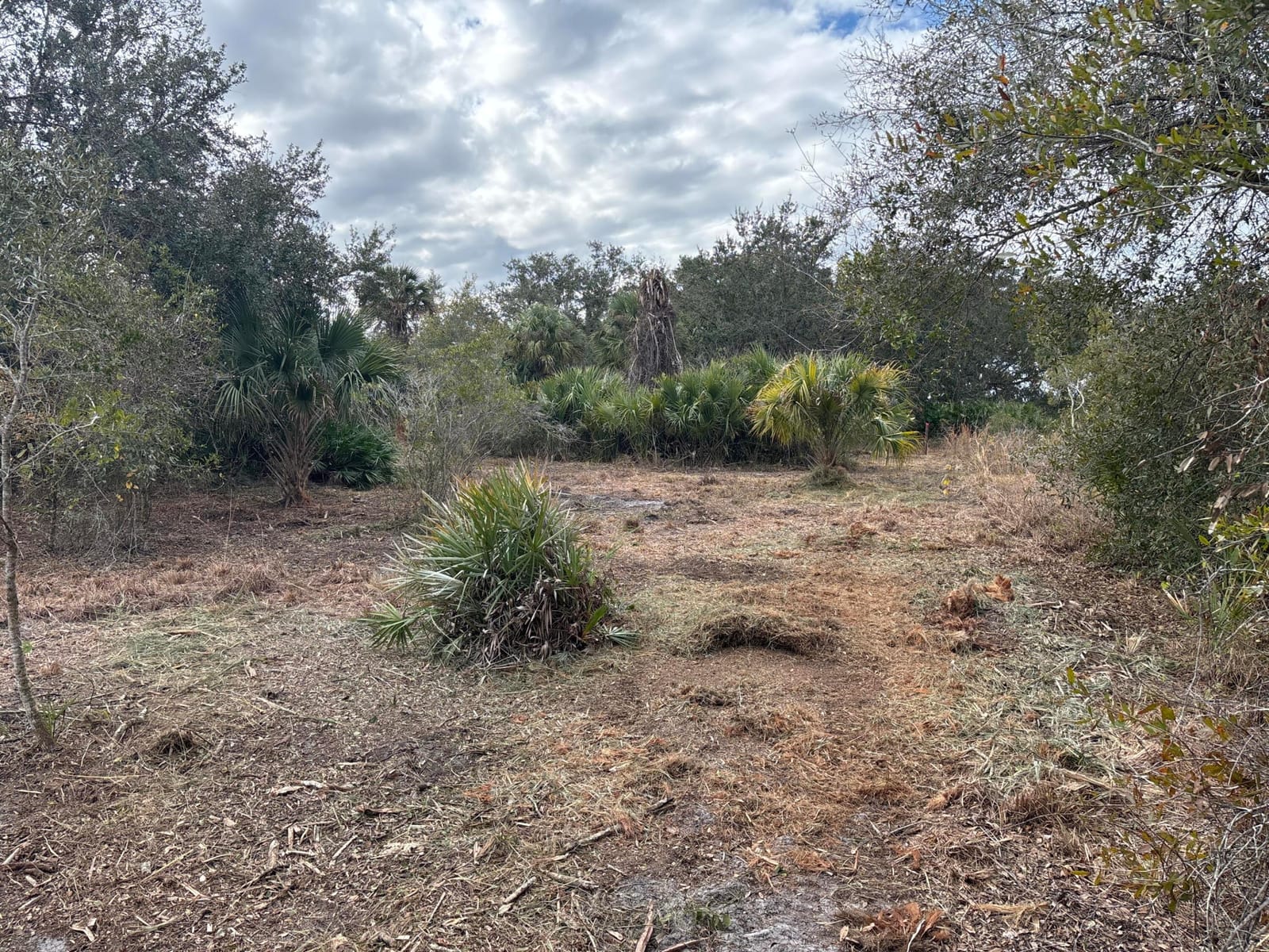 0 NW 290th Street, Okeechobee, FL 34972 photo 2