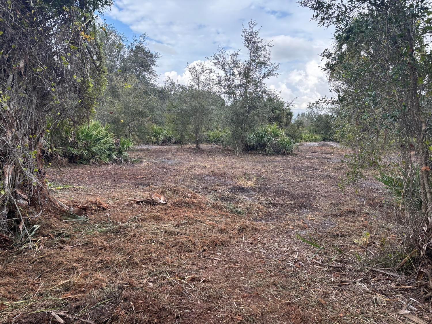 0 NW 290th Street, Okeechobee, FL 34972 photo 4