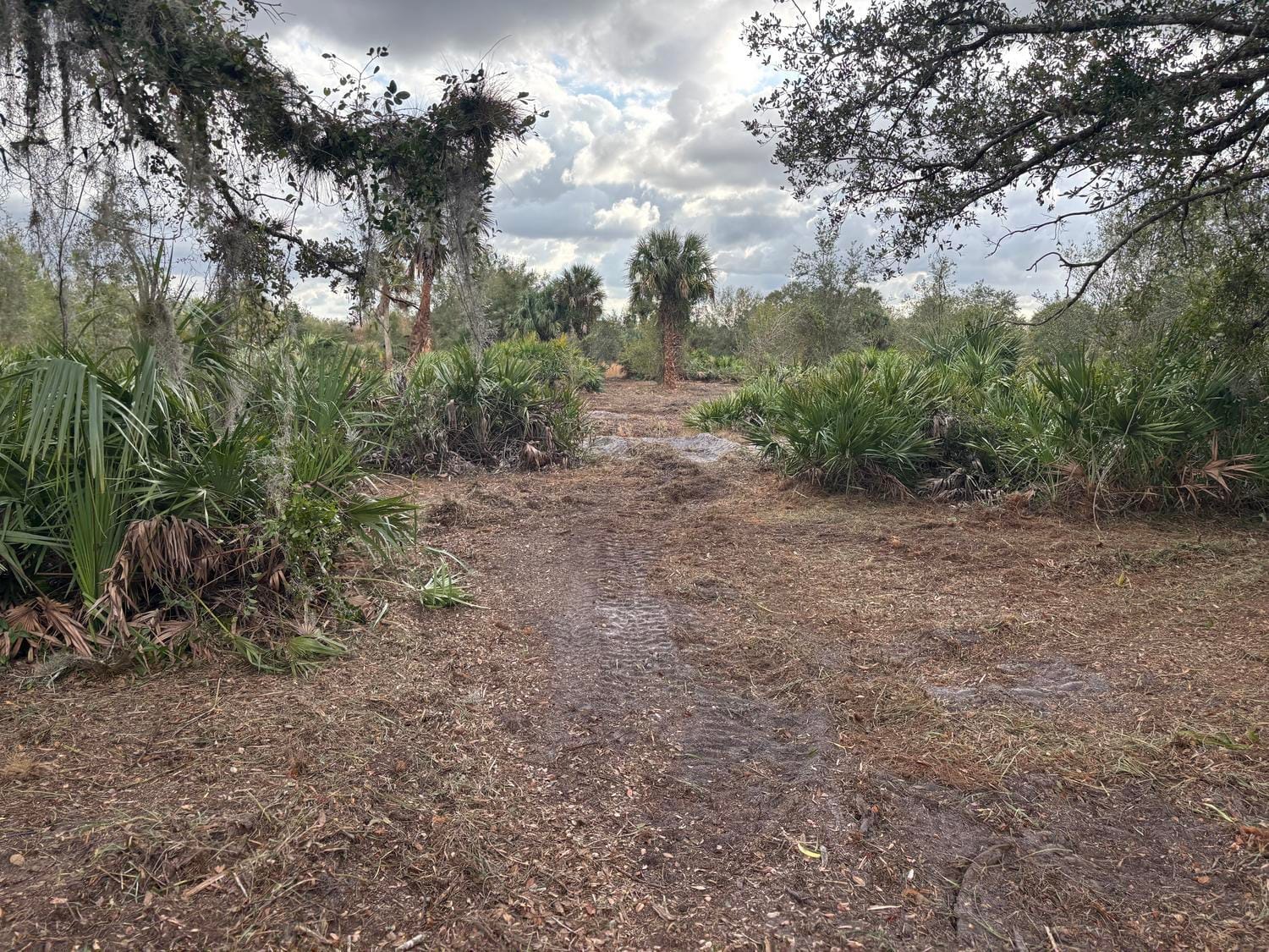 0 NW 290th Street, Okeechobee, FL 34972 photo 5