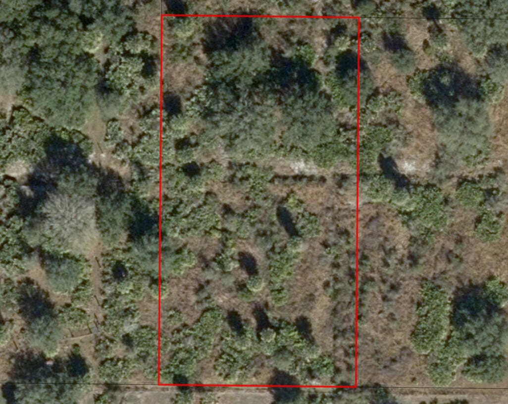 0 NW 290th Street, Okeechobee, FL 34972 photo 6