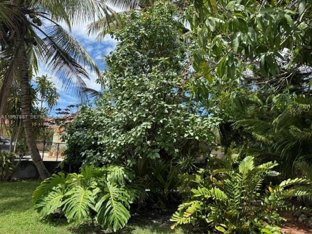 2953 SW 17 Street, Miami, FL 33145 photo 12