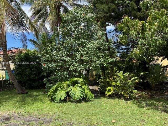 2953 SW 17 Street, Miami, FL 33145 photo 15