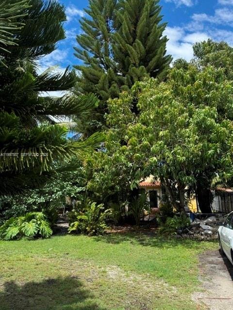 2953 SW 17 Street, Miami, FL 33145 photo 10