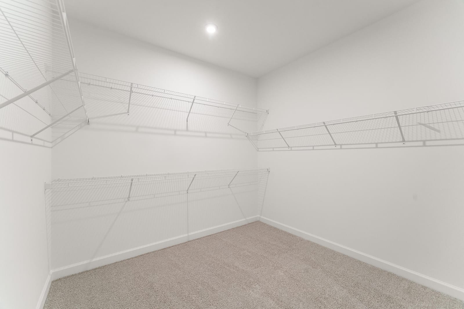 12033 SW Pantone Street — photo 8