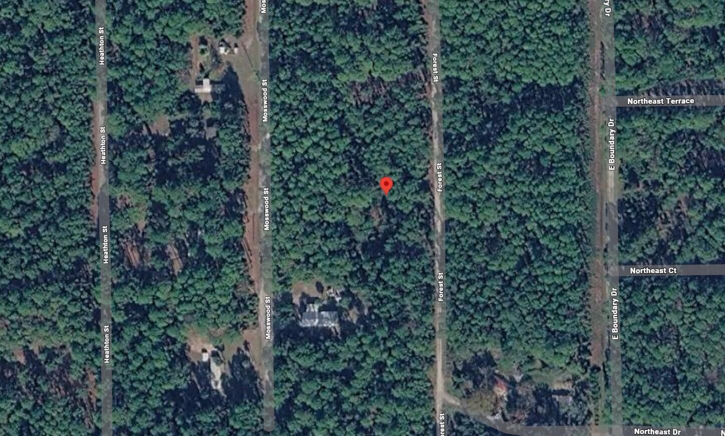 143 Forest Street, Georgetown, FL 32139, Georgetown