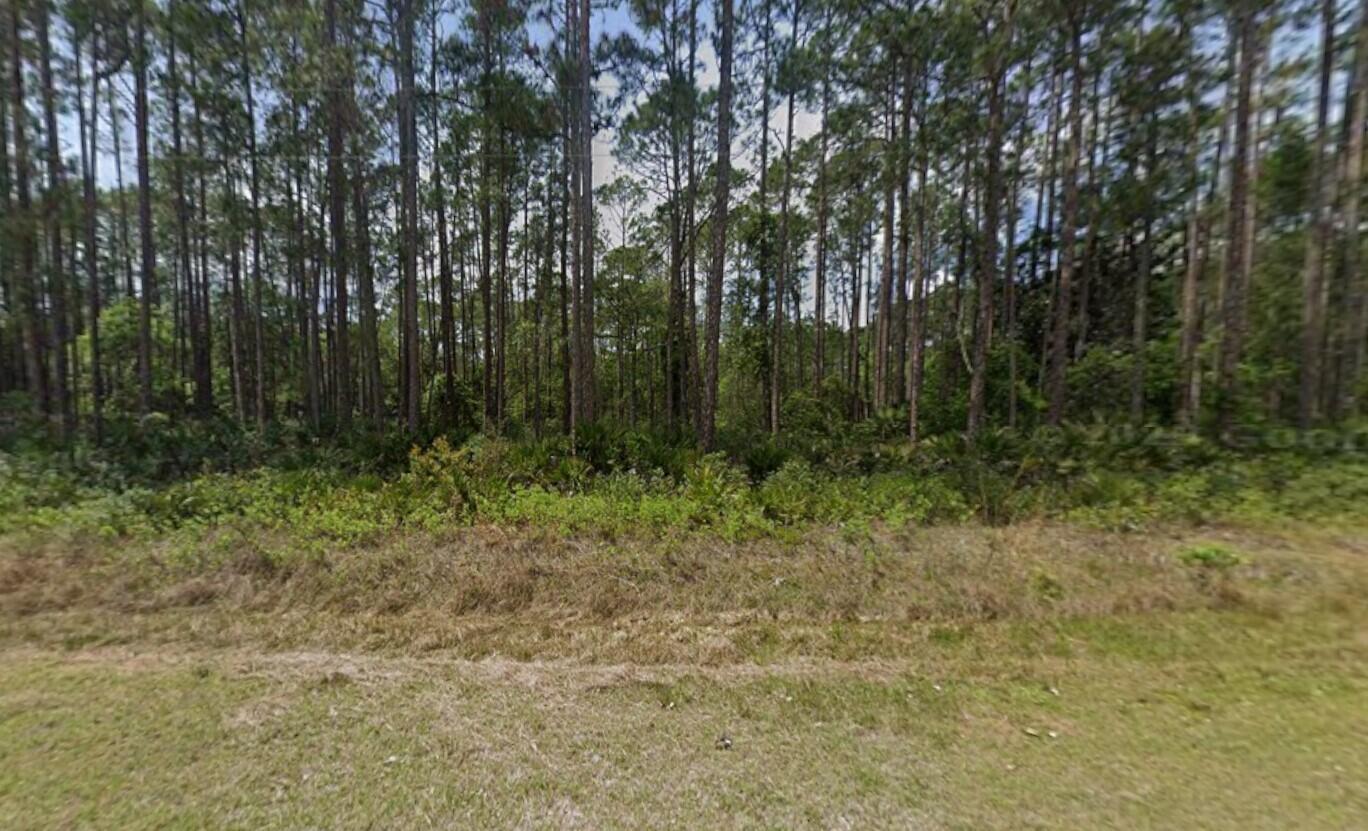 141 E Boundary Drive, Georgetown, FL 32139, Georgetown