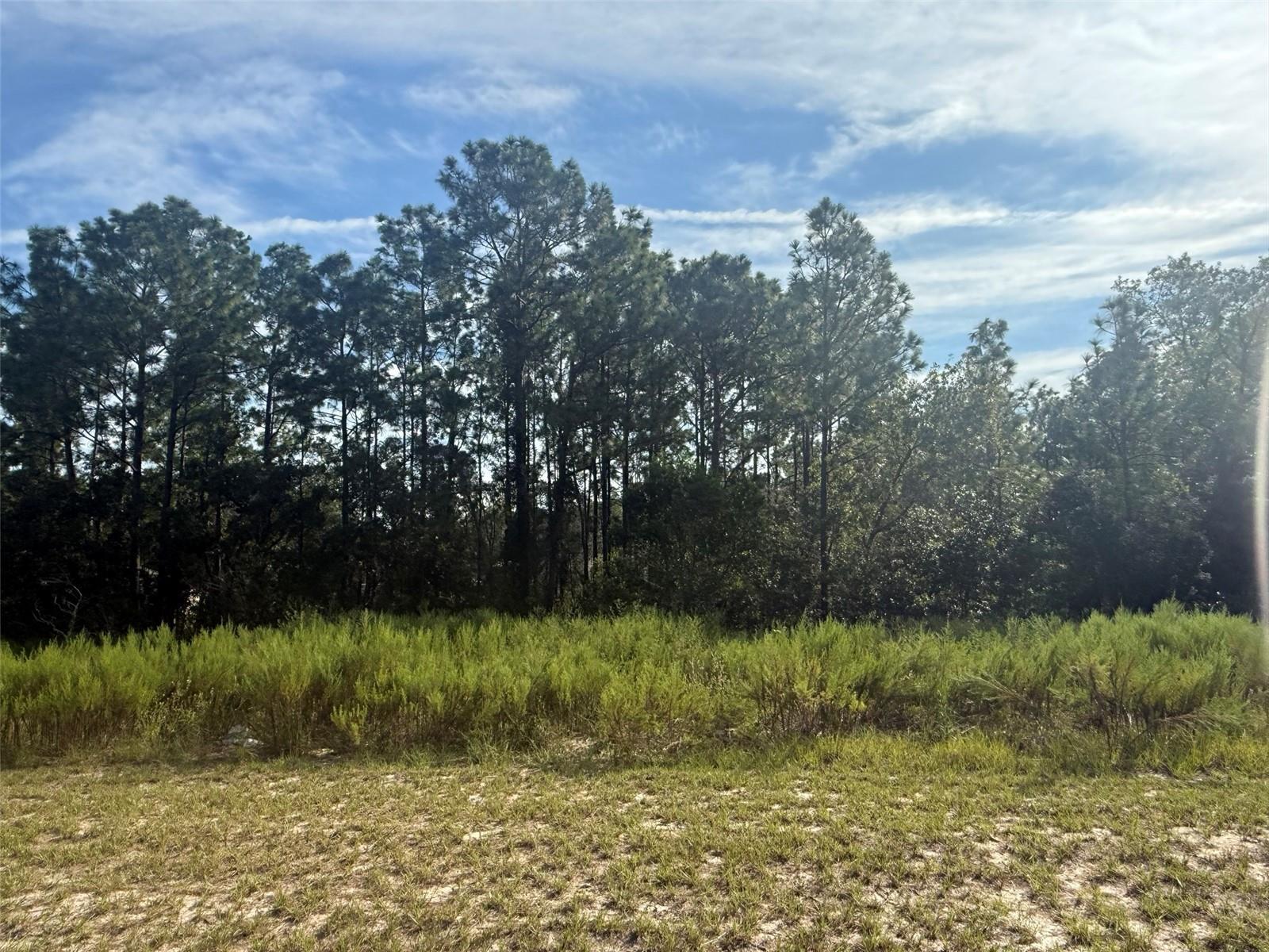 Tbd 135th St Road, Ocala, FL 34473, Ocala