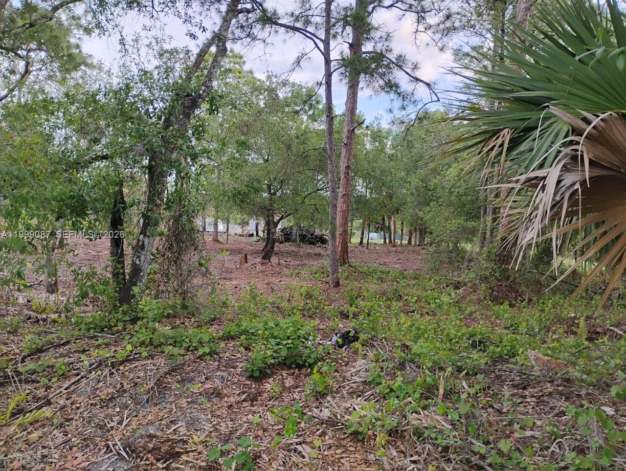 845 Appaloosa Avenue, Clewiston, FL 33440, Clewiston