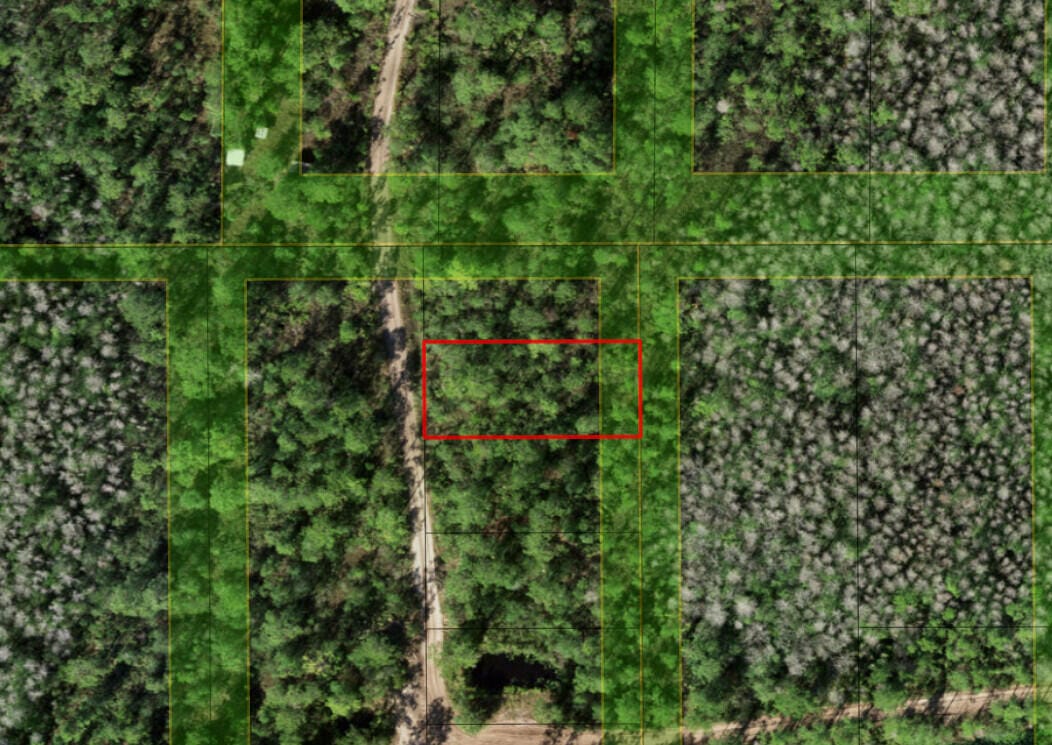 0 Holopaw Groves Road, St. Cloud, FL 34772 photo 3