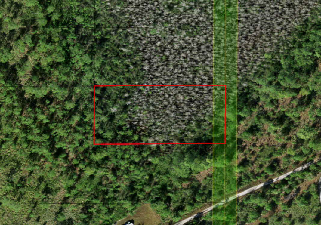 0 Holopaw Groves Road, St. Cloud, FL 34772, St Cloud