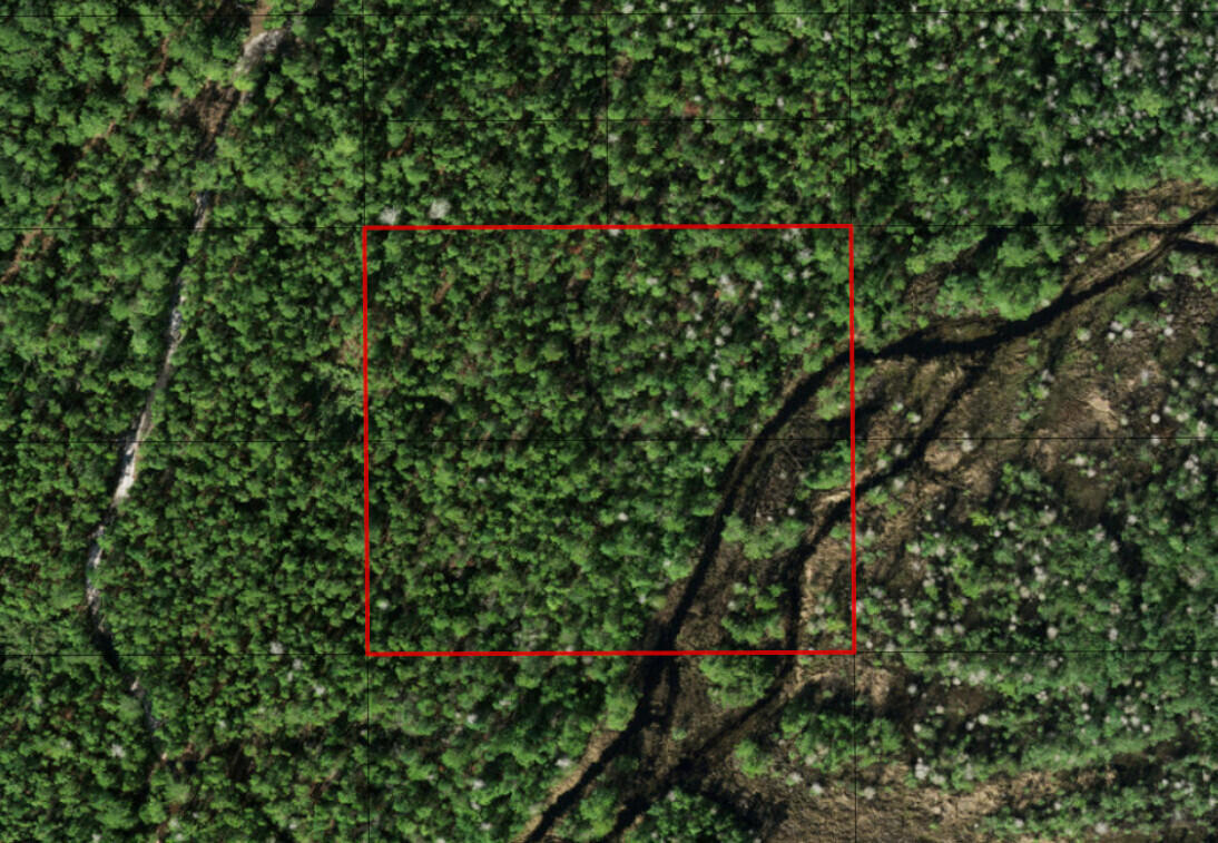 0 Holopaw Groves Road, St. Cloud, FL 34772, St Cloud