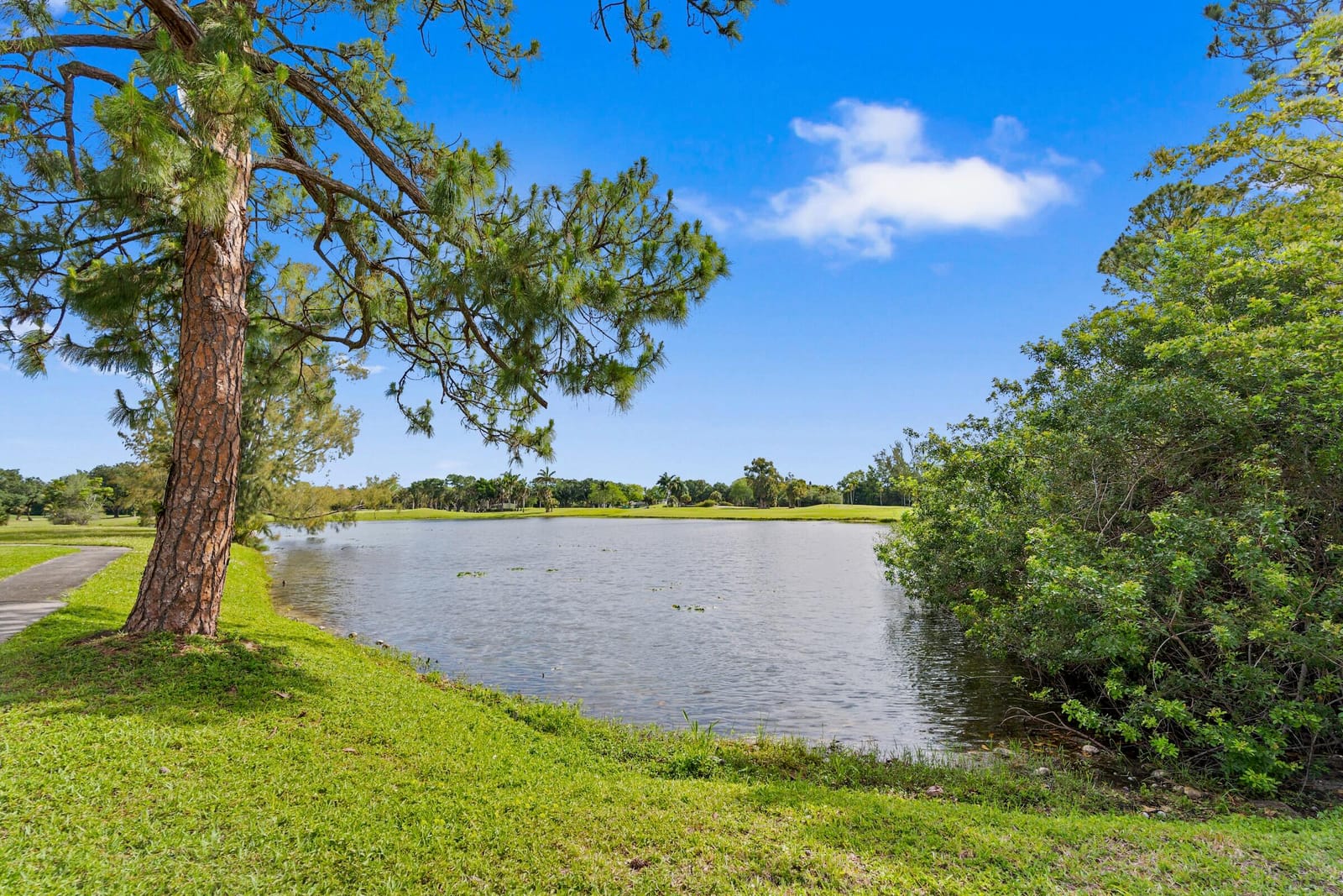 402 Lakeview Drive E, Royal Palm Beach, FL 33411 photo 7