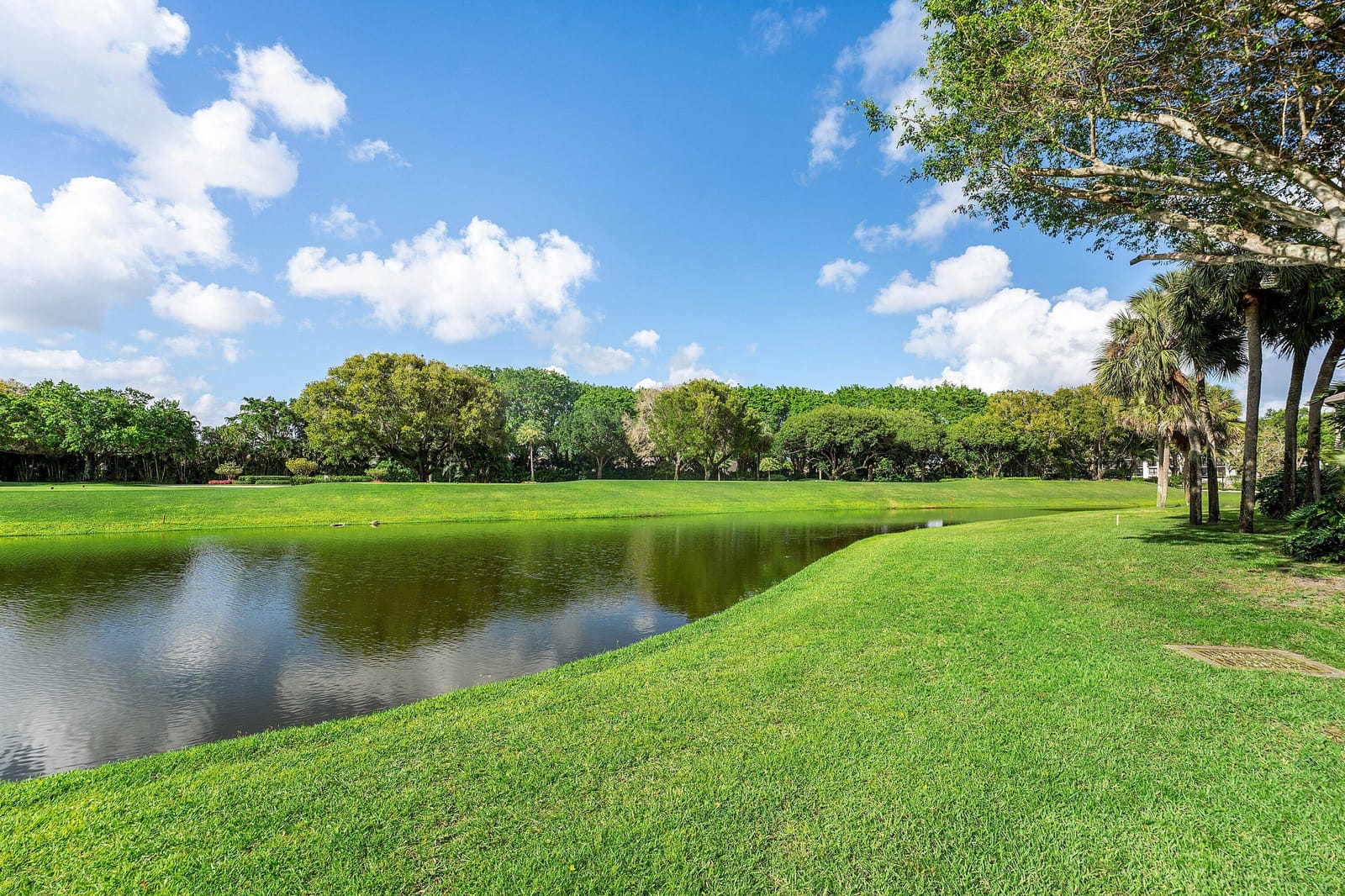 7077 Rain Forest Drive, Boca Raton, FL 33434 photo 28