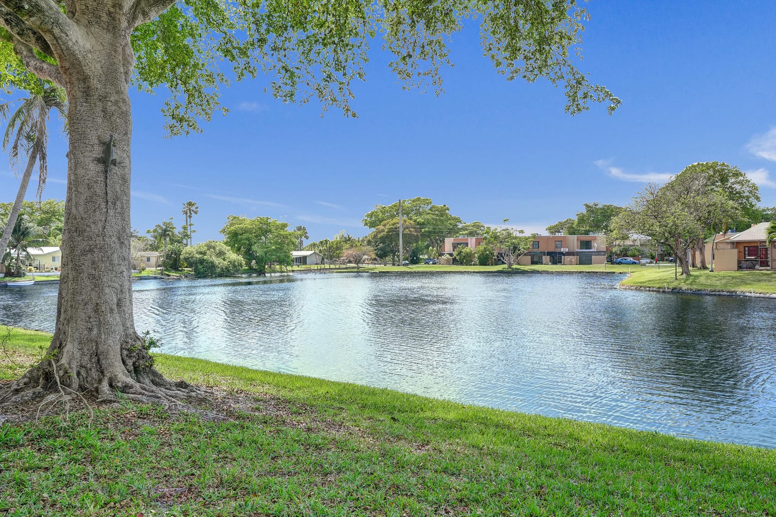 8992 Palm Tree Lane 8992, Pembroke Pines, FL 33024 photo 1