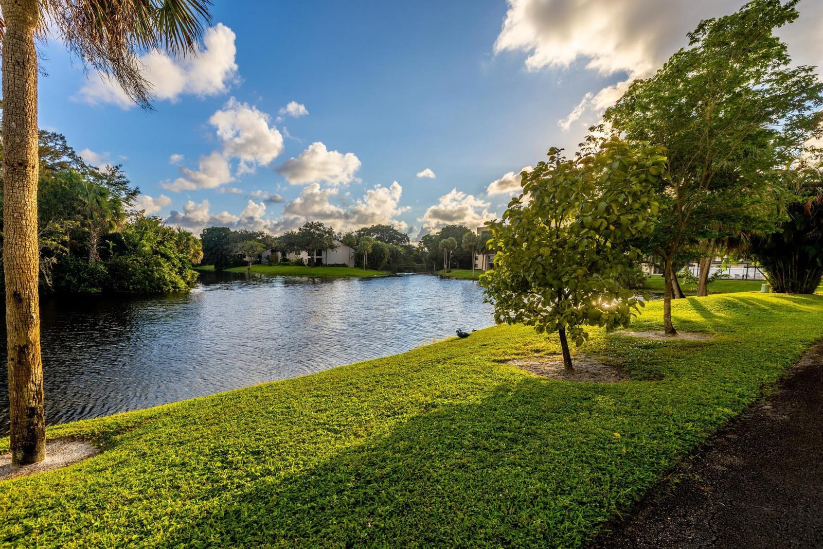 3000 NW 42nd Avenue B101, Coconut Creek, FL 33066 photo 22
