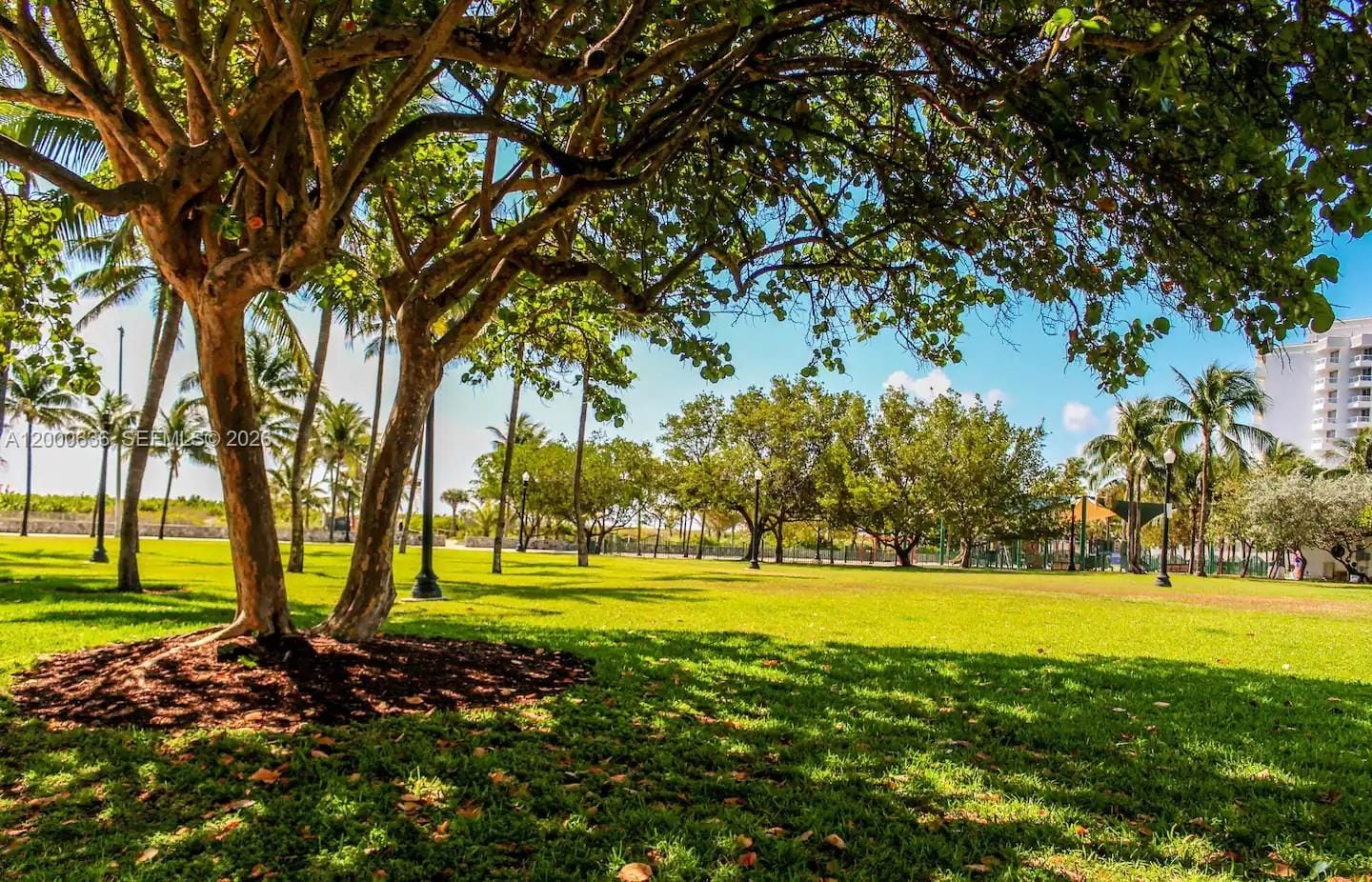 2615 Collins Avenue 37, Miami Beach, FL 33140 photo 16