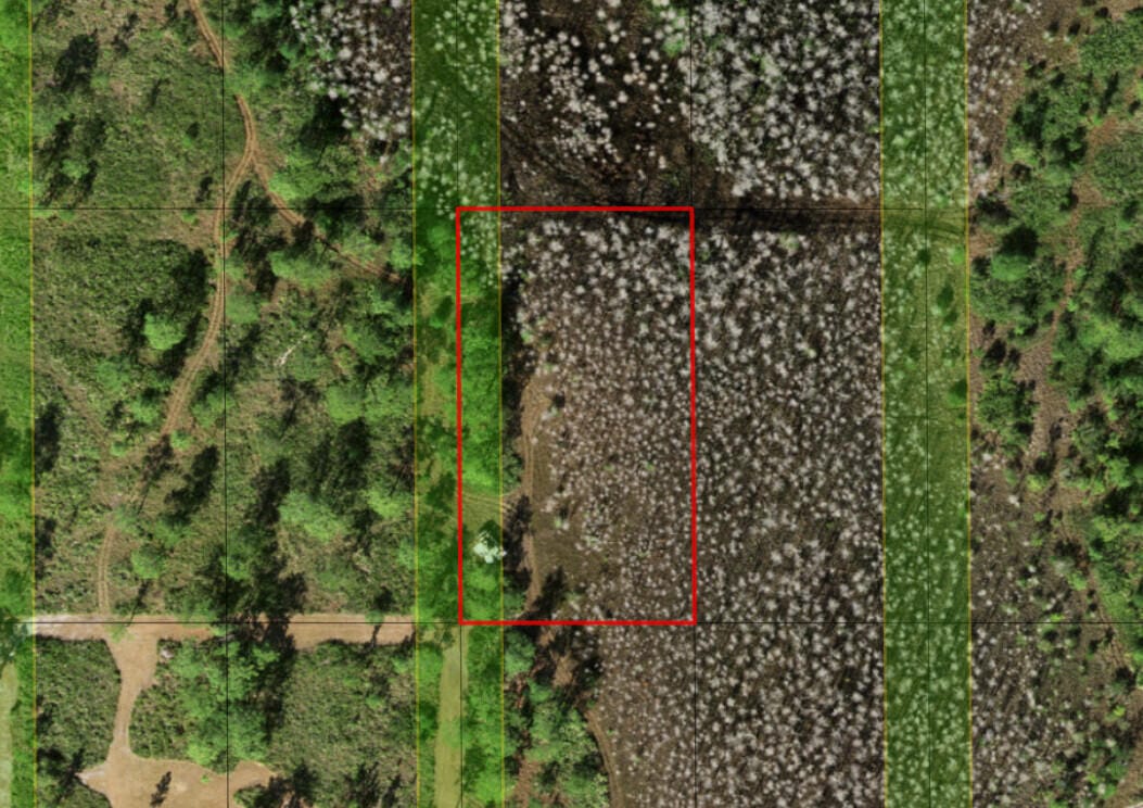 0 Holopaw Groves Road — photo 4