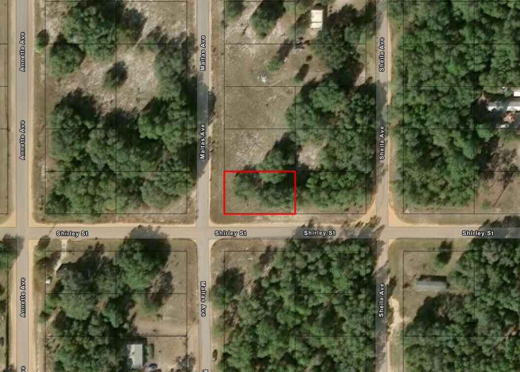 0 Shirley Street, Interlachen, FL 32148, Interlachen