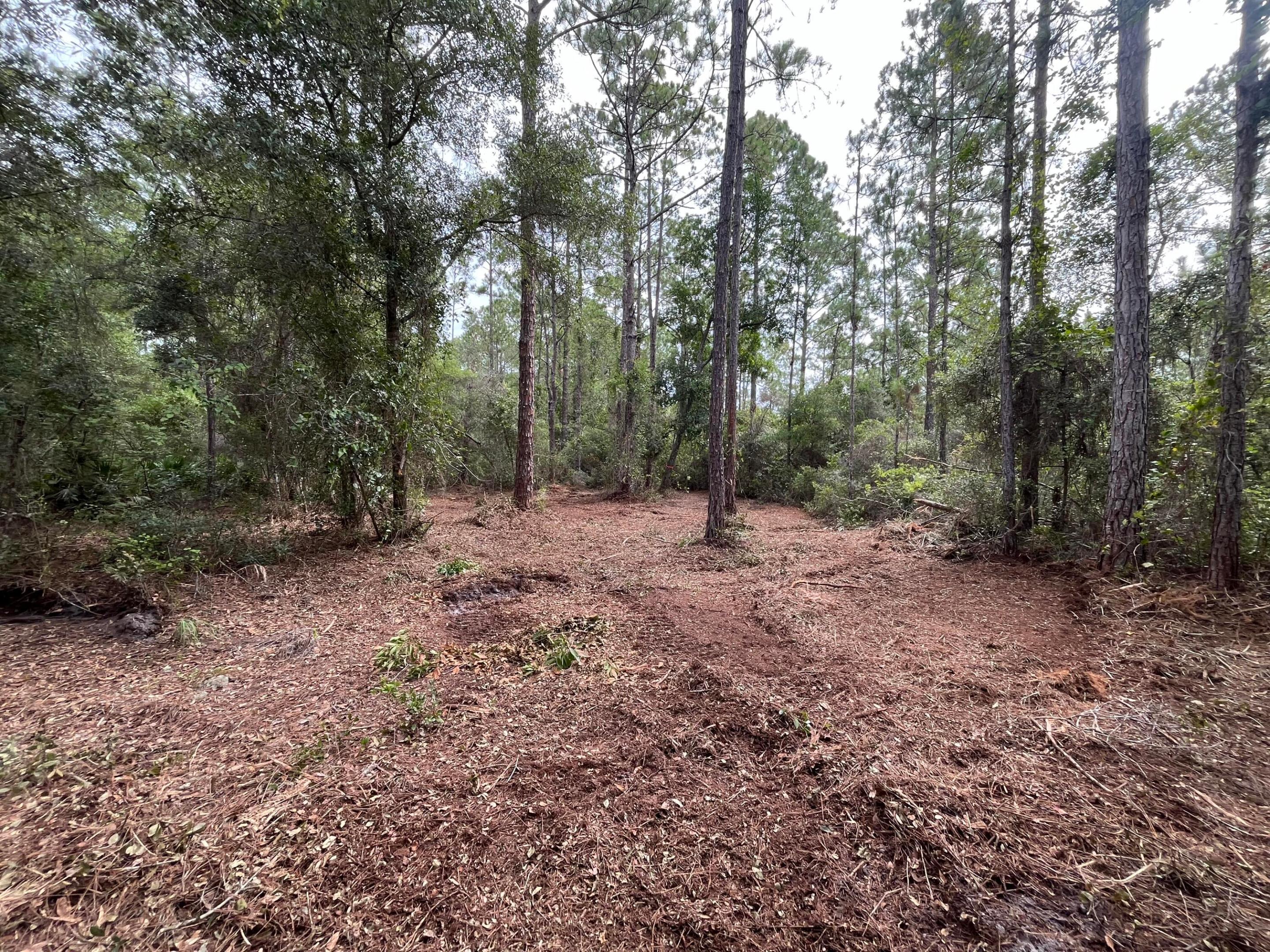 122 Glenside Street, Georgetown, FL 32139, Georgetown