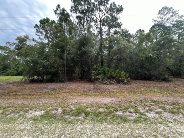 124 Glenside Street, Lake George Manor, Georgetown, FL